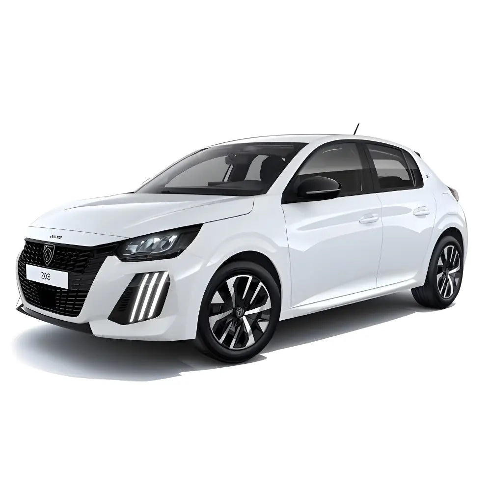 FIT PPF – Peugeot 208 210 Mikron Premium TPU PPF Kaplama Seti - FİT PPF